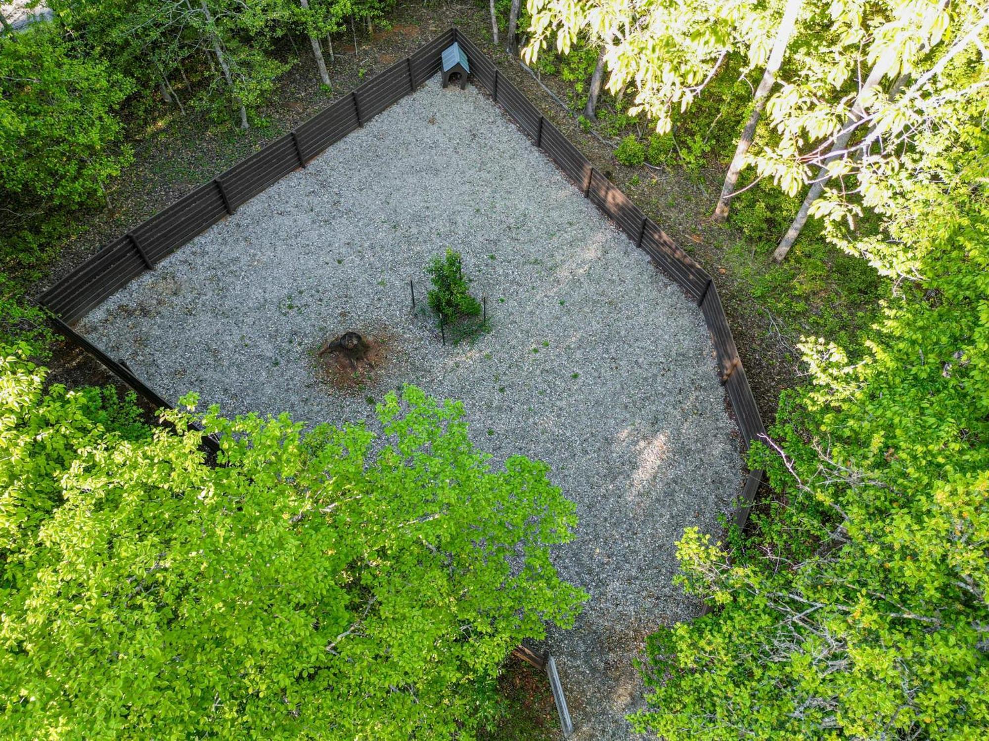 The Big Little Cabin - Hot Tub & Playground Dahlonega Dış mekan fotoğraf